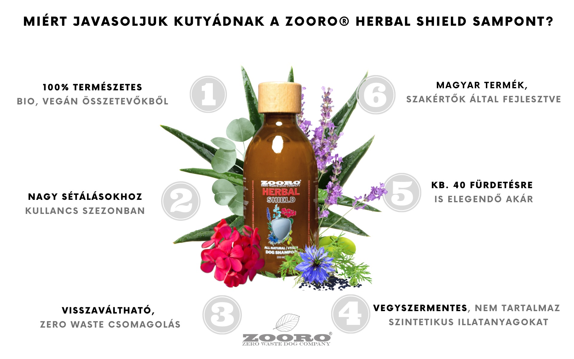 Zooro șampon vegan pentru câini - zoom