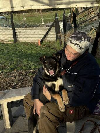 Hektor, kan kutyus gazdit keres