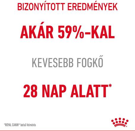 Royal Canin Dental Care - Száraz táp felnőtt macskák részére a fogkőképződés csökkentéséért