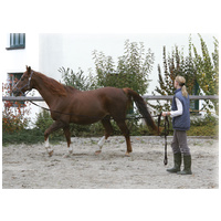 Kerbl futószár több színben szilárd gurtni anyagból #4