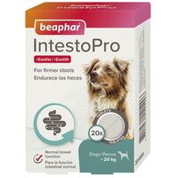 Beaphar IntestoPro tabletta kutyáknak és macskáknak
