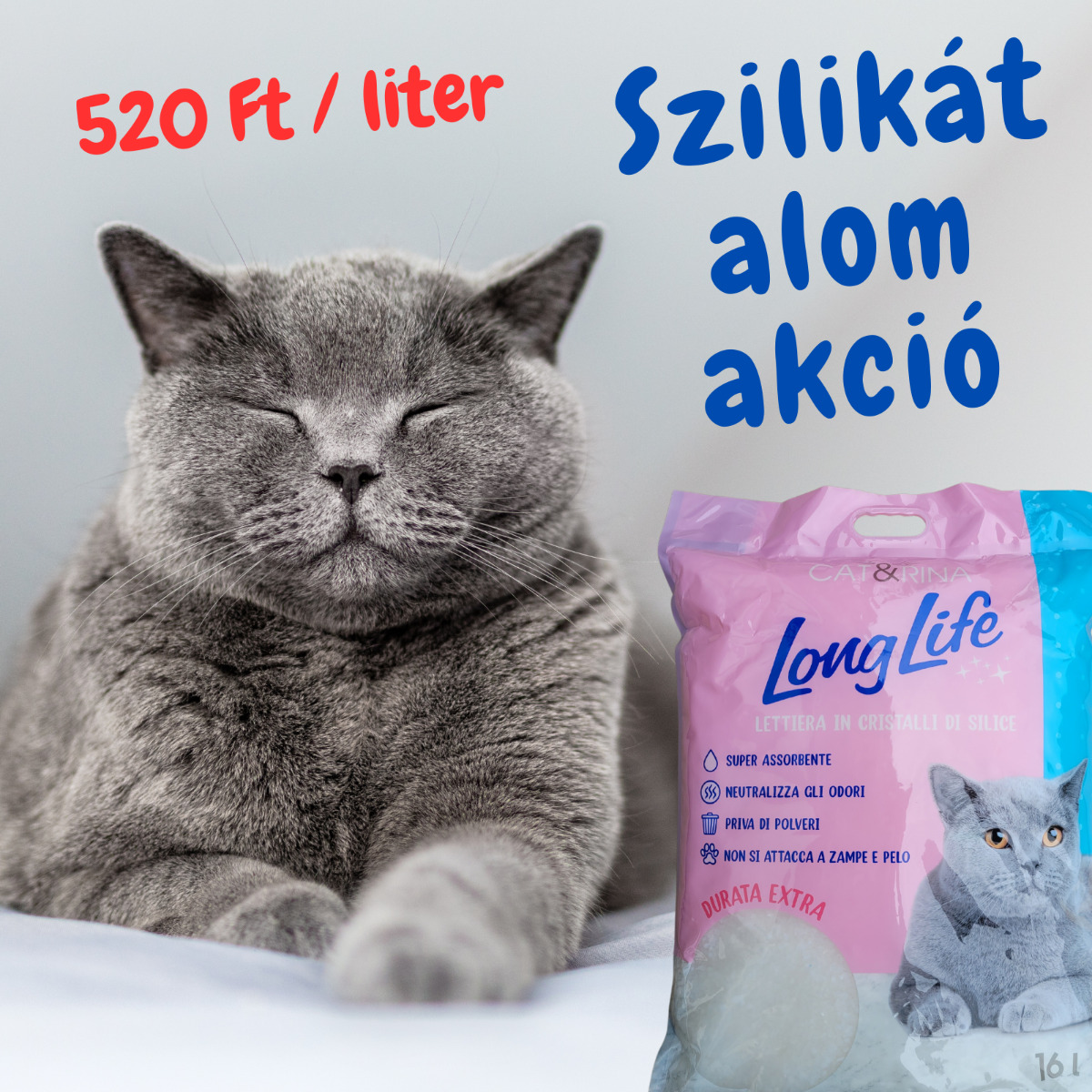 Cat & Rina LongLife așternut igienic din silicat pt pisici - zoom