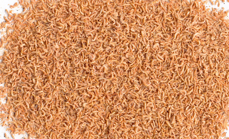 Tetra Delica Krill szárított díszhaltáp