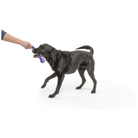 West Paw Zwig apport #5