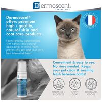 Dermoscent Essential Mousse kutyáknak és macskáknak #16