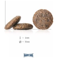 Happy Dog Sensible Africa #3