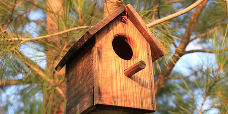 Költőládák tavaszi tisztítása