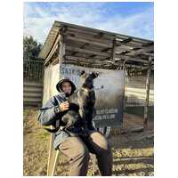 Lilien kutyus gazdit keres #8