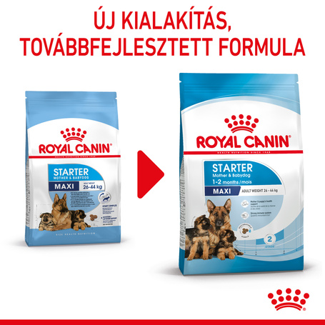 Royal Canin Maxi Starter -  Száraz táp nagy testű vemhes szuka és kölyök kutya részére 2 hónapos korig