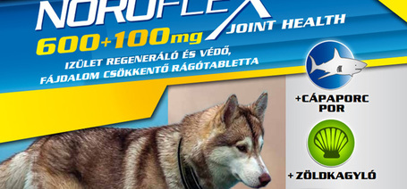 Ismerd meg a Noroflex ízületregeneráló és fájdalomcsökkentő rágótablettát