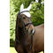 Covalliero Classic fülvédő lovaknak