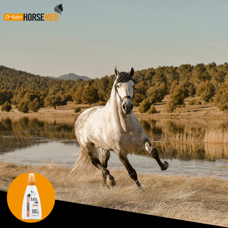 Horsemed SOS sebápoló spray lovaknak