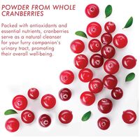 Dermoscent Uti-Zen kutyáknak és macskáknak #3