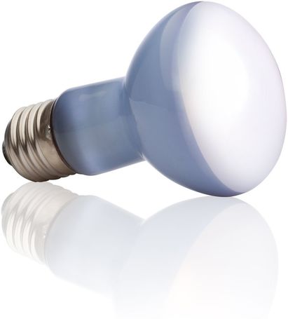 Exo Terra Daylight Basking Spot neodímium nappali fényű napozó lámpa