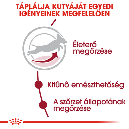 Royal Canin Medium Adult 7+ | Közepes testű idősödő kutya száraz táp