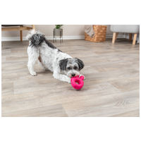 Trixie béke jel sípoló latex karika #4