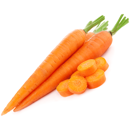 Food Studio zöldség- és bogyósgyümölcs-püré kutyáknak