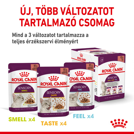 Royal Canin Sensory Smell Jelly - Zselés felnőtt macska nedves táp fokozott illattal