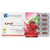 Dermoscent Uti-Zen – Tőzegáfonyás táplálékkiegészítő a húgyutak egészségéért Dermoscent Uti-Zen – Tőzegáfonyás táplálékkiegészítő a húgyutak egészségéért