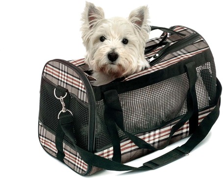 Flamingo Mayfair szállítótáska