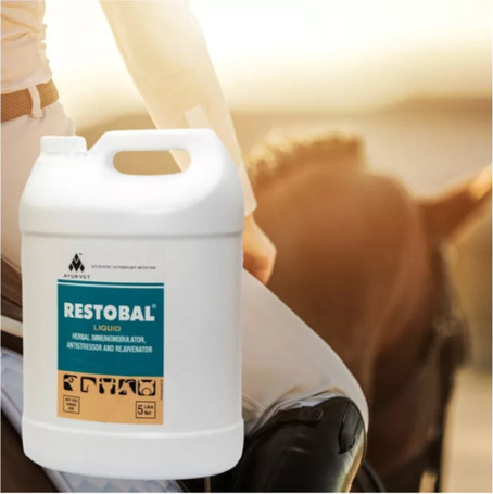 Restobal stressz elleni, immunerősítő itatófolyadék