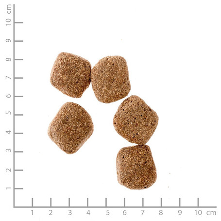 Belcando Adult Dinner