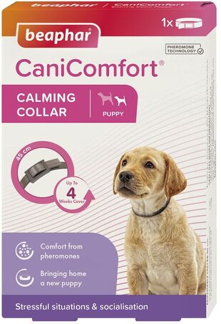 Beaphar CaniComfort feromonos nyugtató nyakörv kölyökkutyáknak