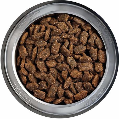 Belcando Mastercraft Fresh Salmon | 80% friss lazacból készült szuperprémium német kutyatáp