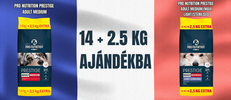 🎁 Most 2,5 kg prémium francia kutyatápot🐶 adunk ajándékba!
