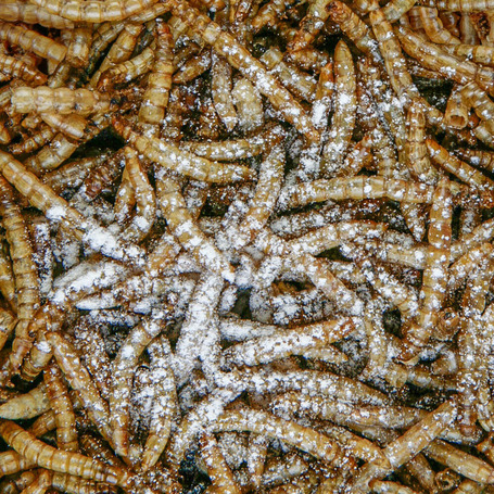 Sera Reptimineral C - Hüllő vitamin és ásványi anyag por