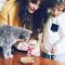 Inaba Cat Twin Packs Tuna & Chicken Recipe