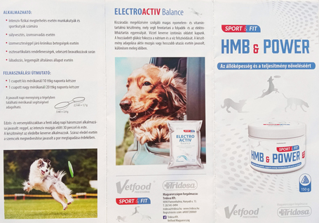 VetFood ElectroActiv Balance - Az elektrolitháztartás egyensúlyának fenntartásáért kutyáknak és macskáknak