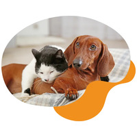 DeliGuard posztbiotikum szirup #4