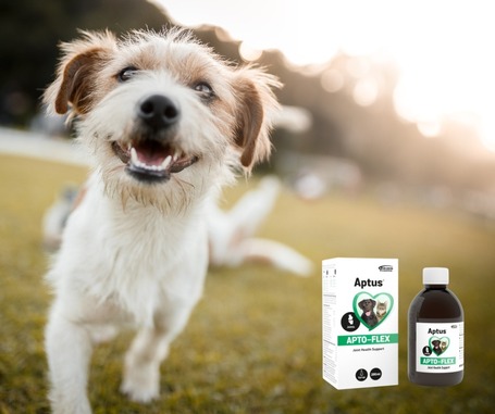 Aptus Apto-Flex ízületvédő szirup