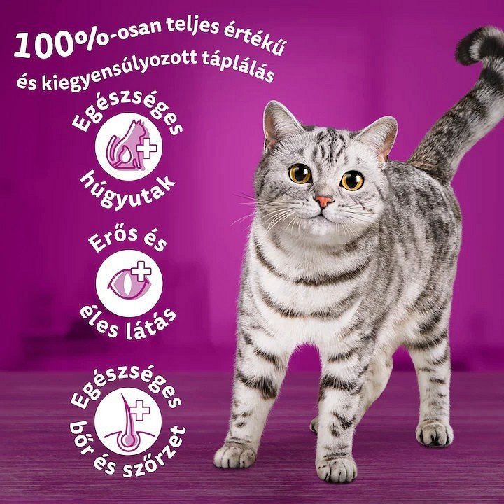 Whiskas - Hrană uscată pentru pisici adulte, cu pui şi legume - zoom