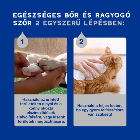 Douxo Spa nedves törlőkendő kutyáknak és macskáknak