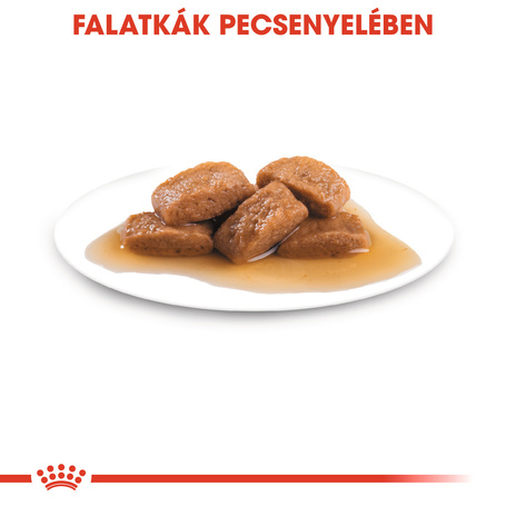 Royal Canin Maxi Adult - Nedves táp nagytestű felnőtt kutya részére