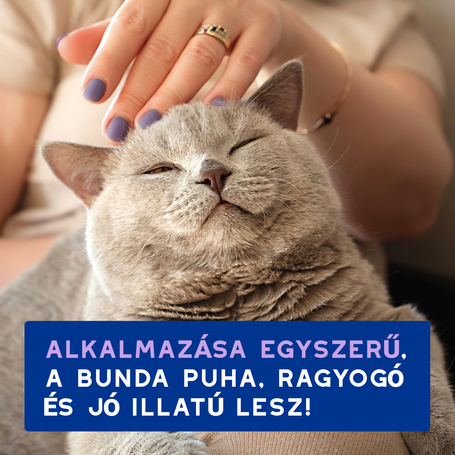 Douxo Spa lemosást nem igénylő hab macskáknak