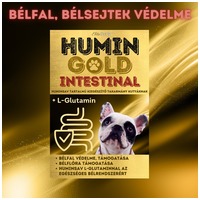 Humin Gold Intestinal bélregeneráló étrendkiegészítő huminsavval