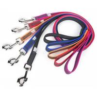 Julius-K9 Color & Gray póráz fogóval #2