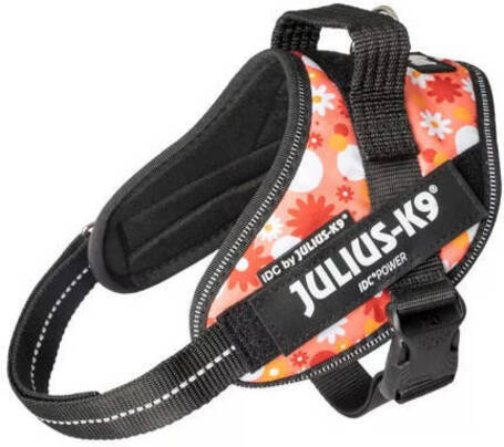 Julius-K9 IDC virágos rózsaszín powerhám kutyáknak