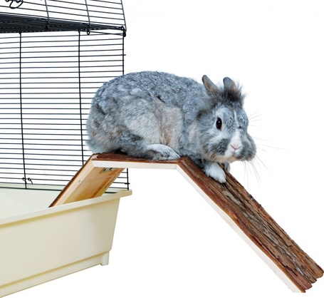 Trixie kilépő farámpa rágcsáló ketrechez