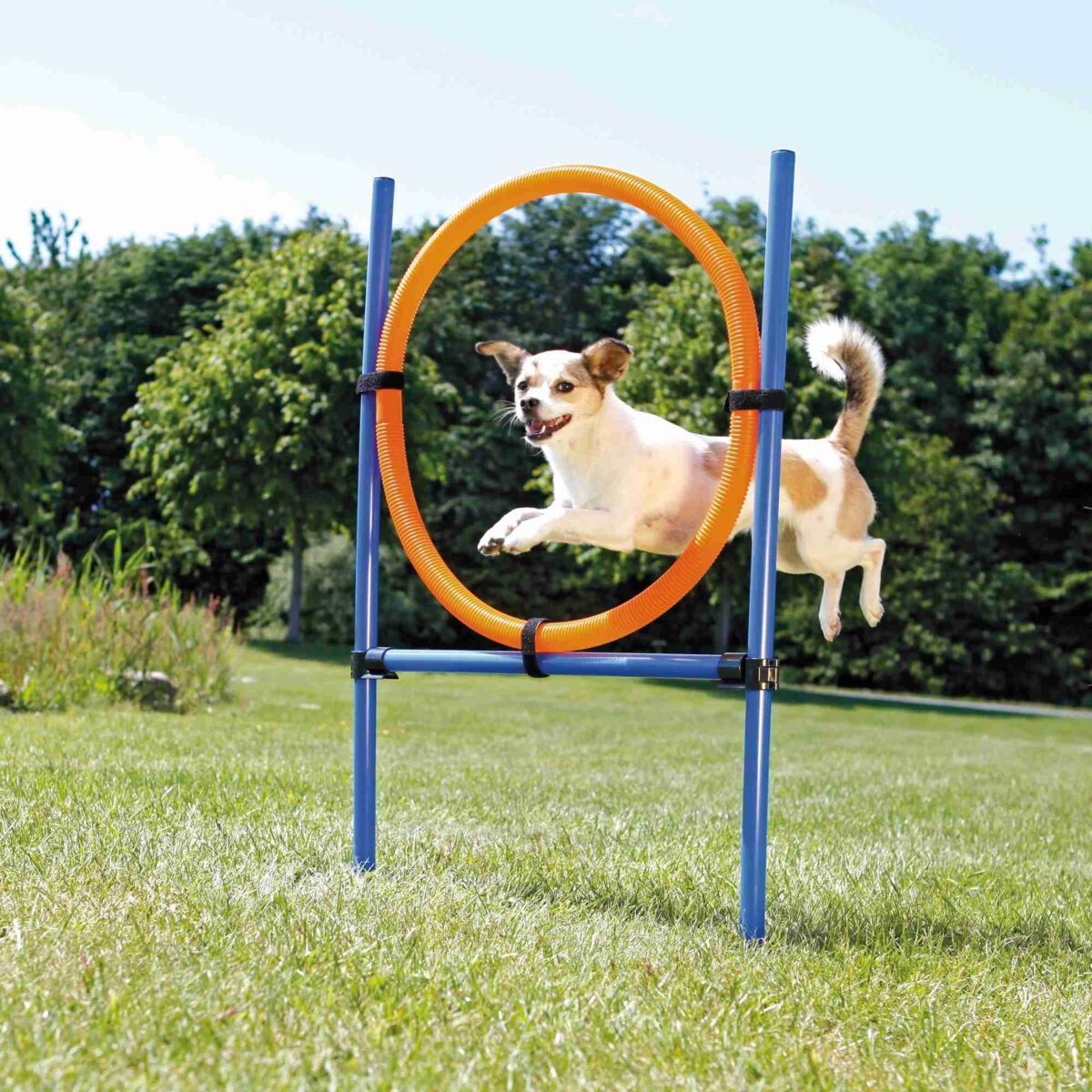 Trixie Dog Activity - Cerc pentru agilitate
