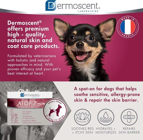Dermoscent ATOP 7 spot-on kutyáknak és macskáknak