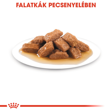 Royal Canin Medium Adult - Nedves táp közepes testű felnőtt kutya részére