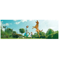 Új fejlesztésű Beaphar Flexifit termékek kutyánk és macskánk egészséges ízületeiért