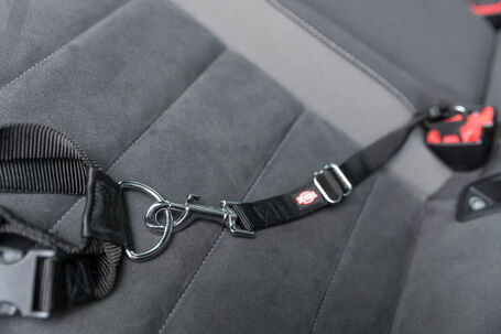 Trixie Friends on Tour autós biztonsági öv és póráz