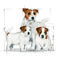 Royal Canin Mini Starter - Száraz táp kistestű vemhes szuka és kölyök kutya részére 2 hónapos korig