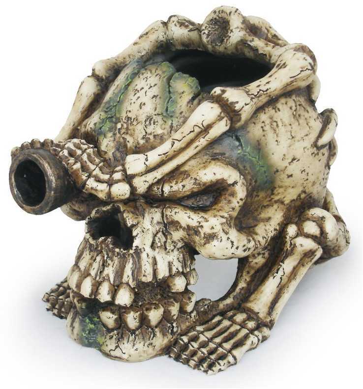 Ágyúszemű William koponya akváriumi dekor