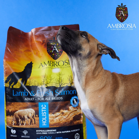 Ambrosia Dog Adult Grain Free Lamb & Fresh Salmon